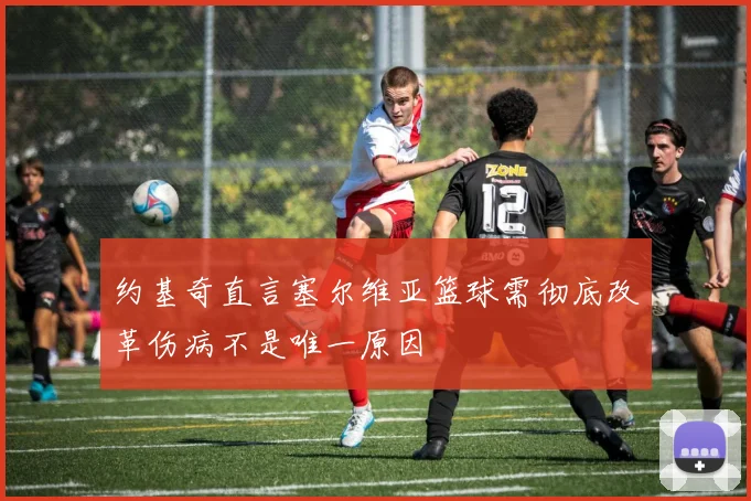约基奇直言塞尔维亚篮球需彻底改革伤病不是唯一原因